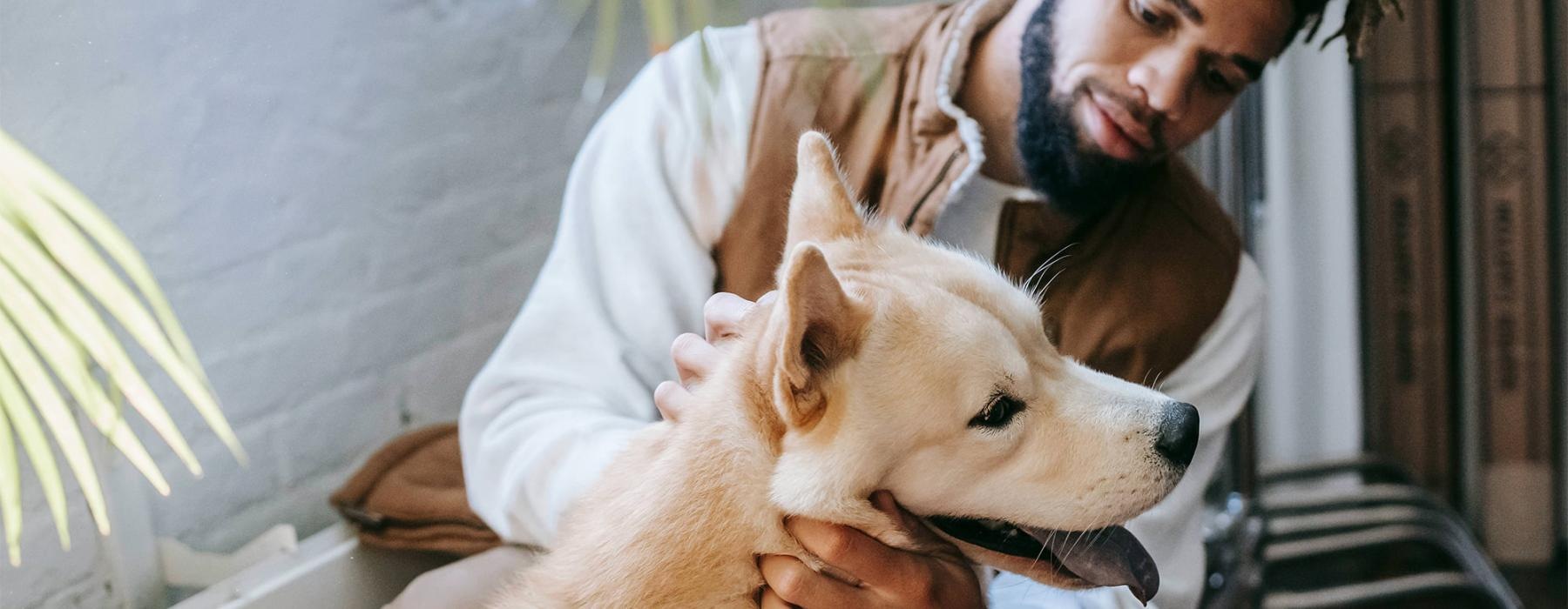 a person holding a dog
